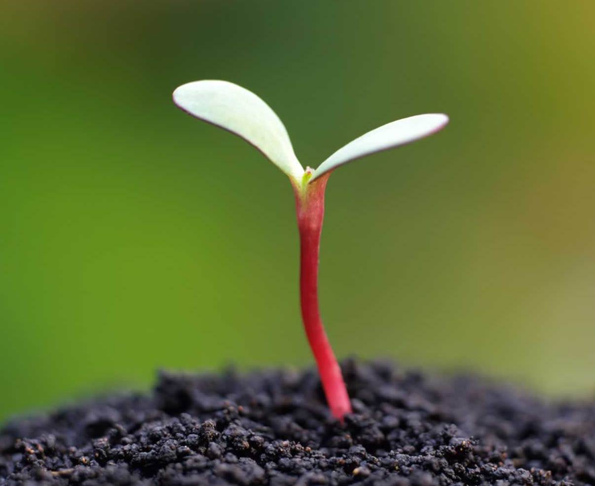 Giáo dục học sinh cá biệt